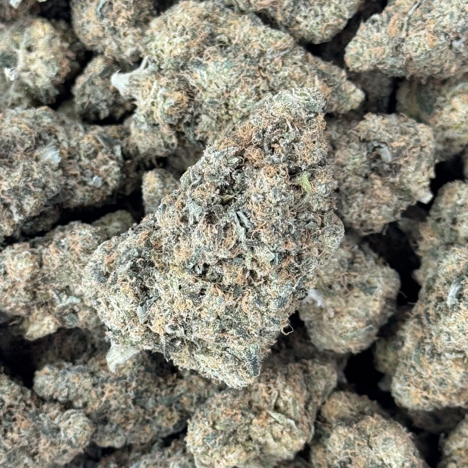 Cinderella &#39;99 THCA Flower - 32.72% (S)