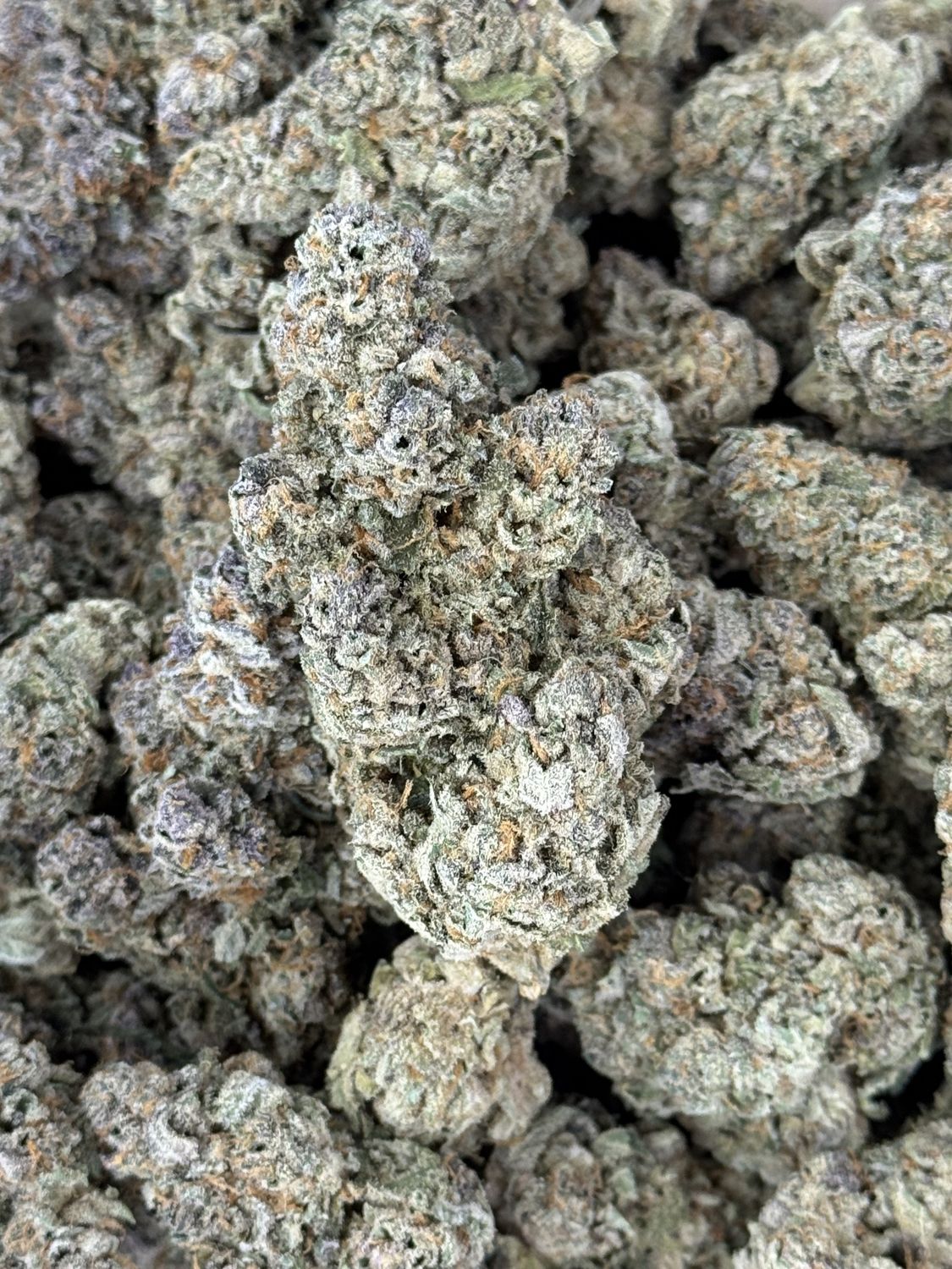 Galactic Jack THCA Flower - 23.92% (SH)