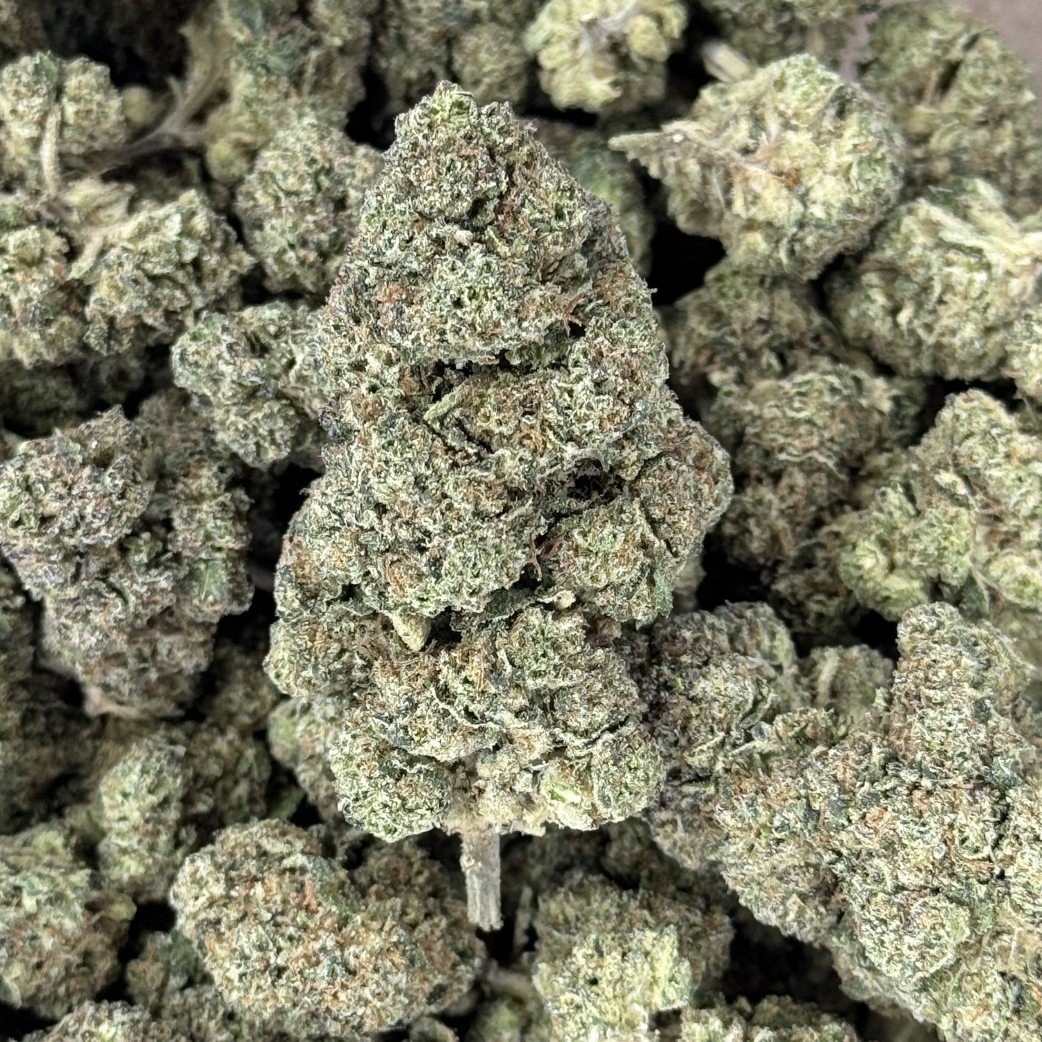 Kool Whip THCA Flower - 23.60% (IH)