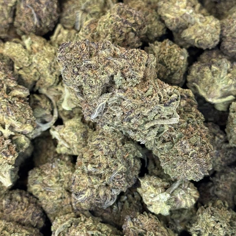 Tropical Infusion THCA Flower - 23.42% (SH)