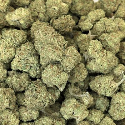 Twelve Driver THCA Flower - 24.03% (IH)