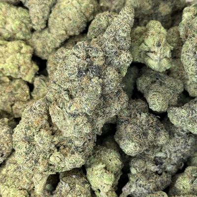 Gush Mintz THCA Flower - 31.48% (IH)