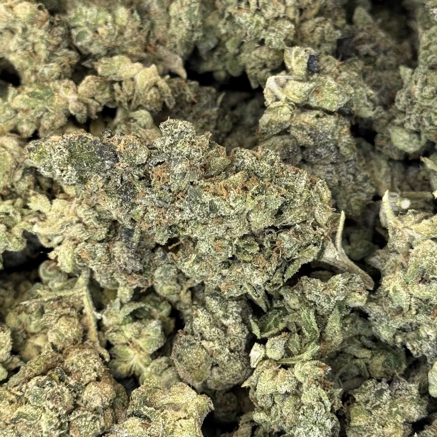 Animal Face THCA Flower - 27.36% (H)