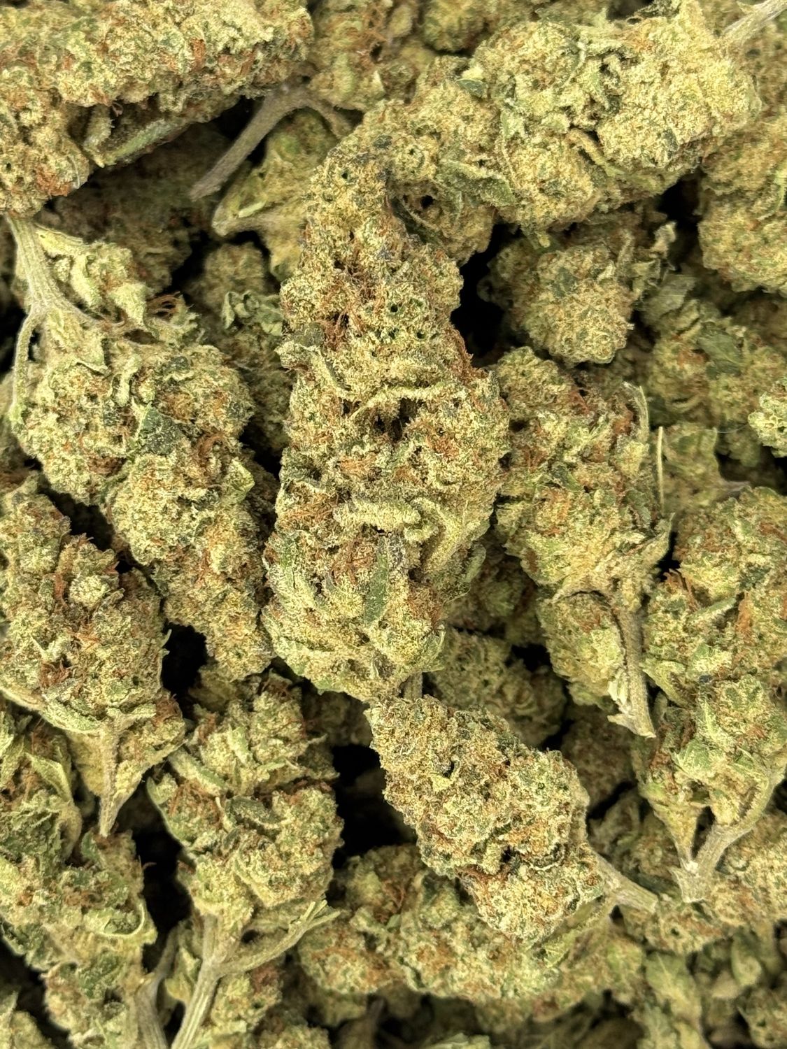 Eye Candy THCA Flower - 25.69% (H)