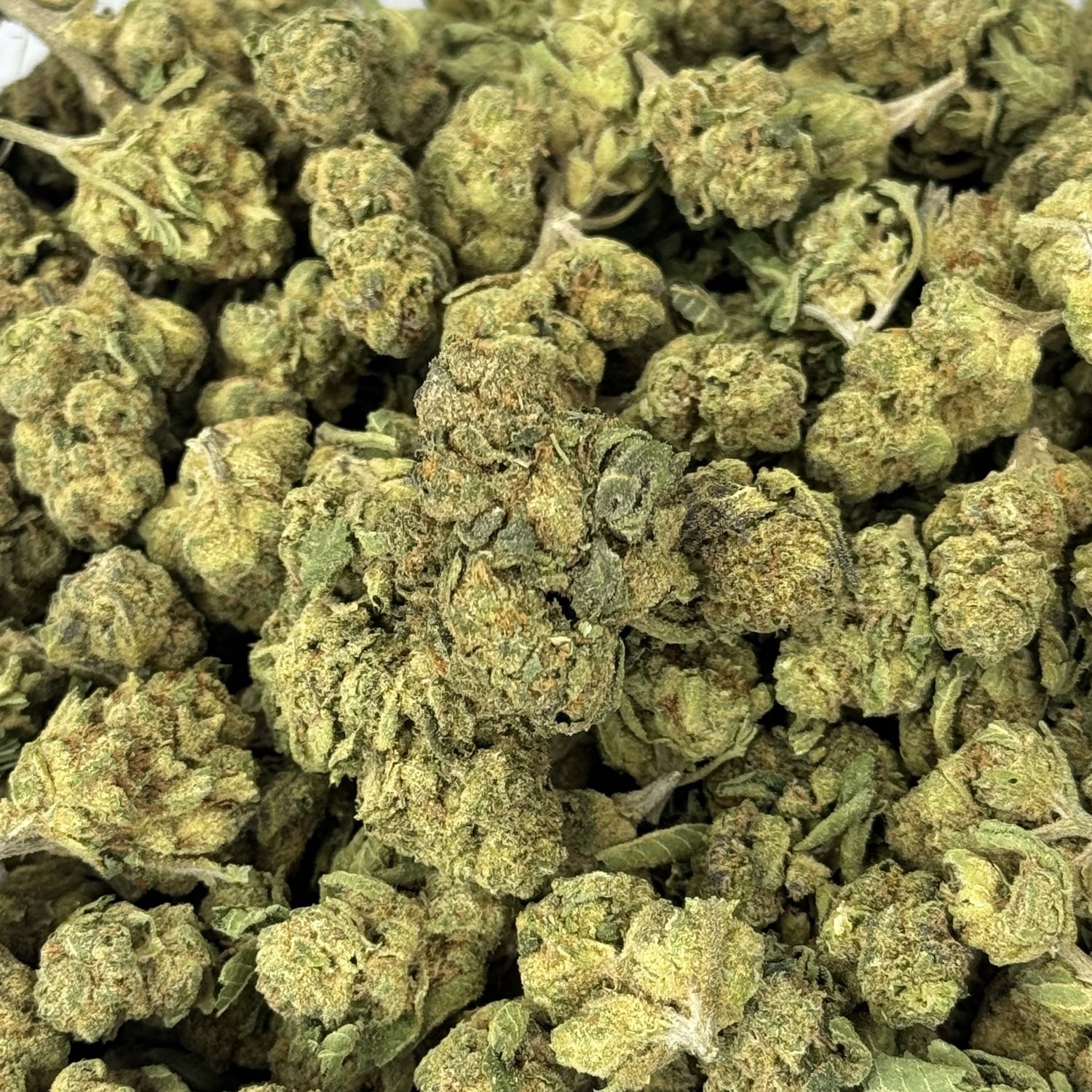 Lemon Cherry Gelato THCA Flower - 23.68% (H)