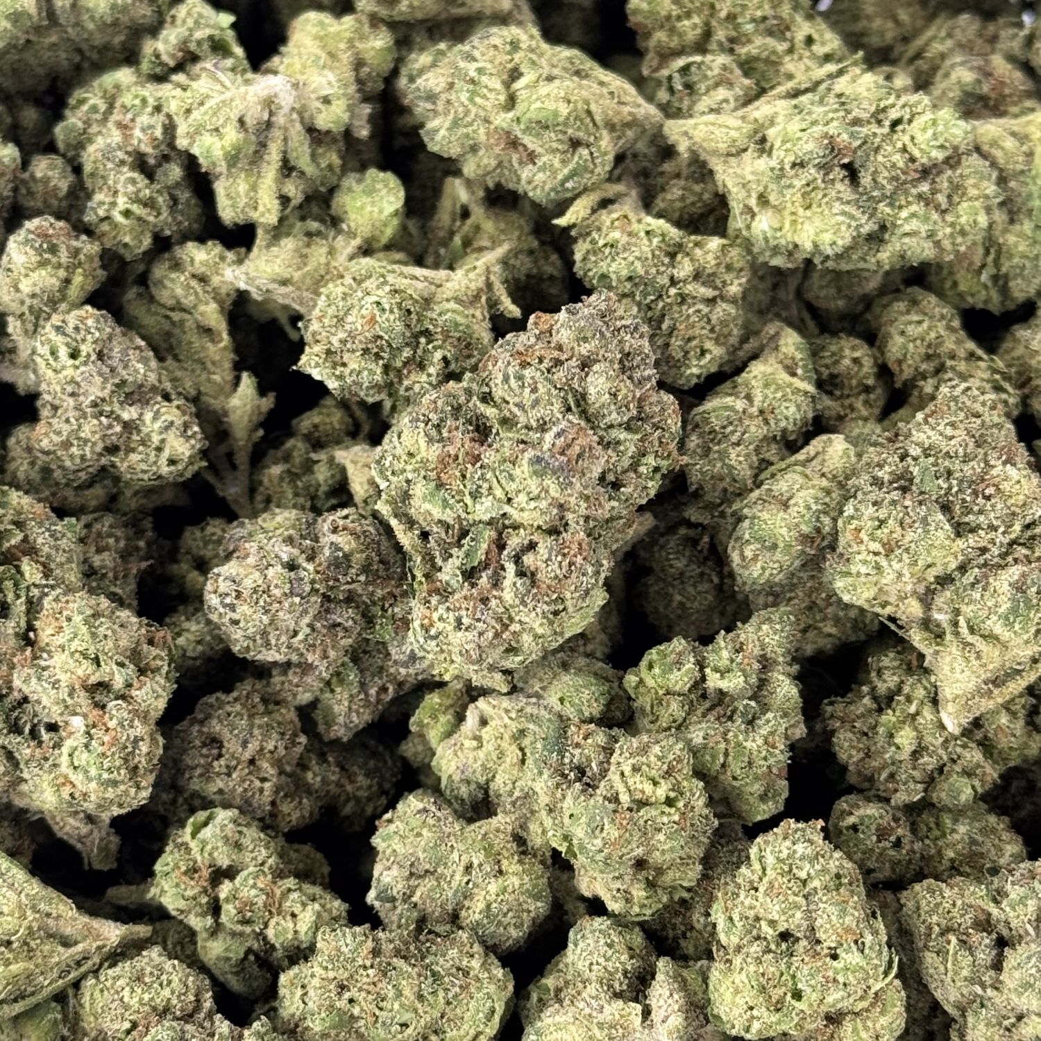 Biscotti Runtz THCA Flower - 25.65% (IH)