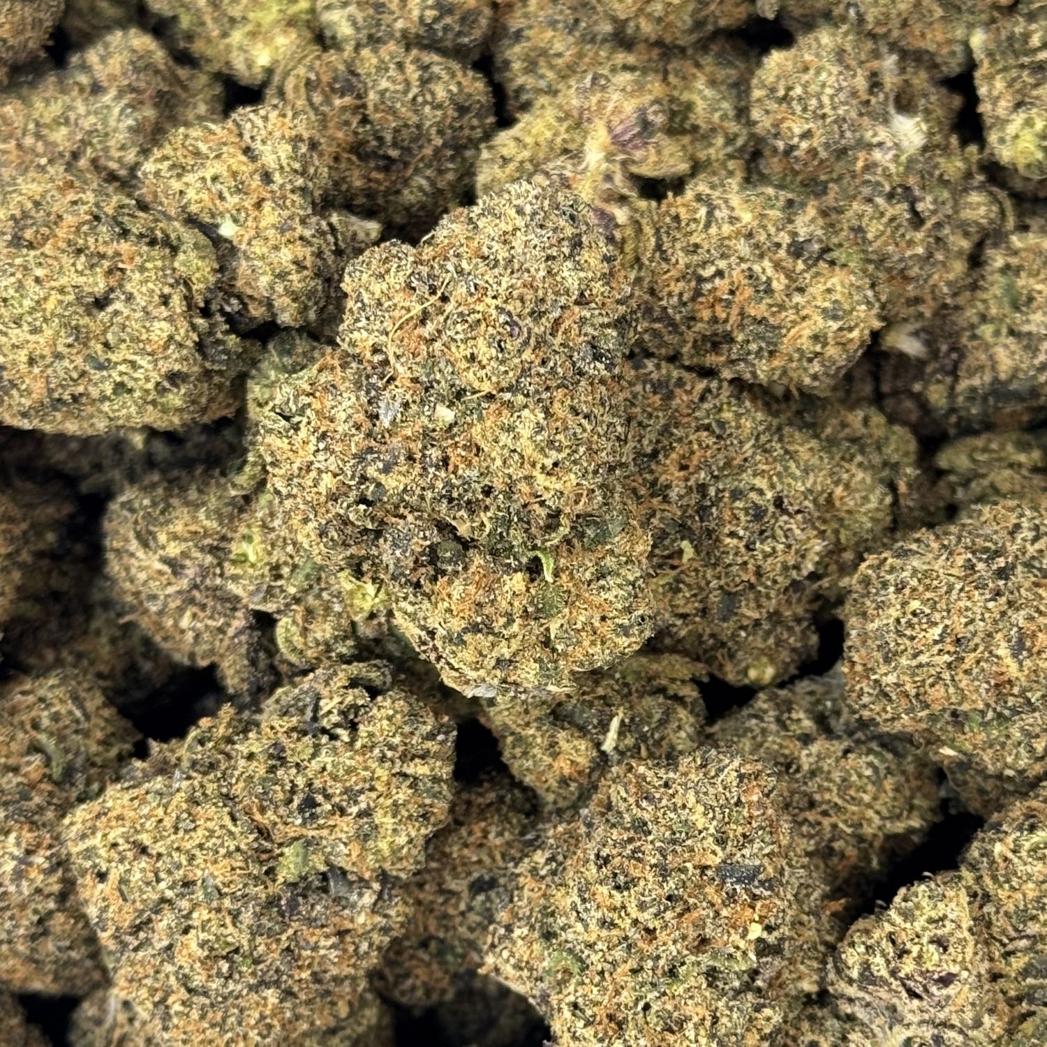 Neapolitan Crunch THCA Flower - 23.69% (H)