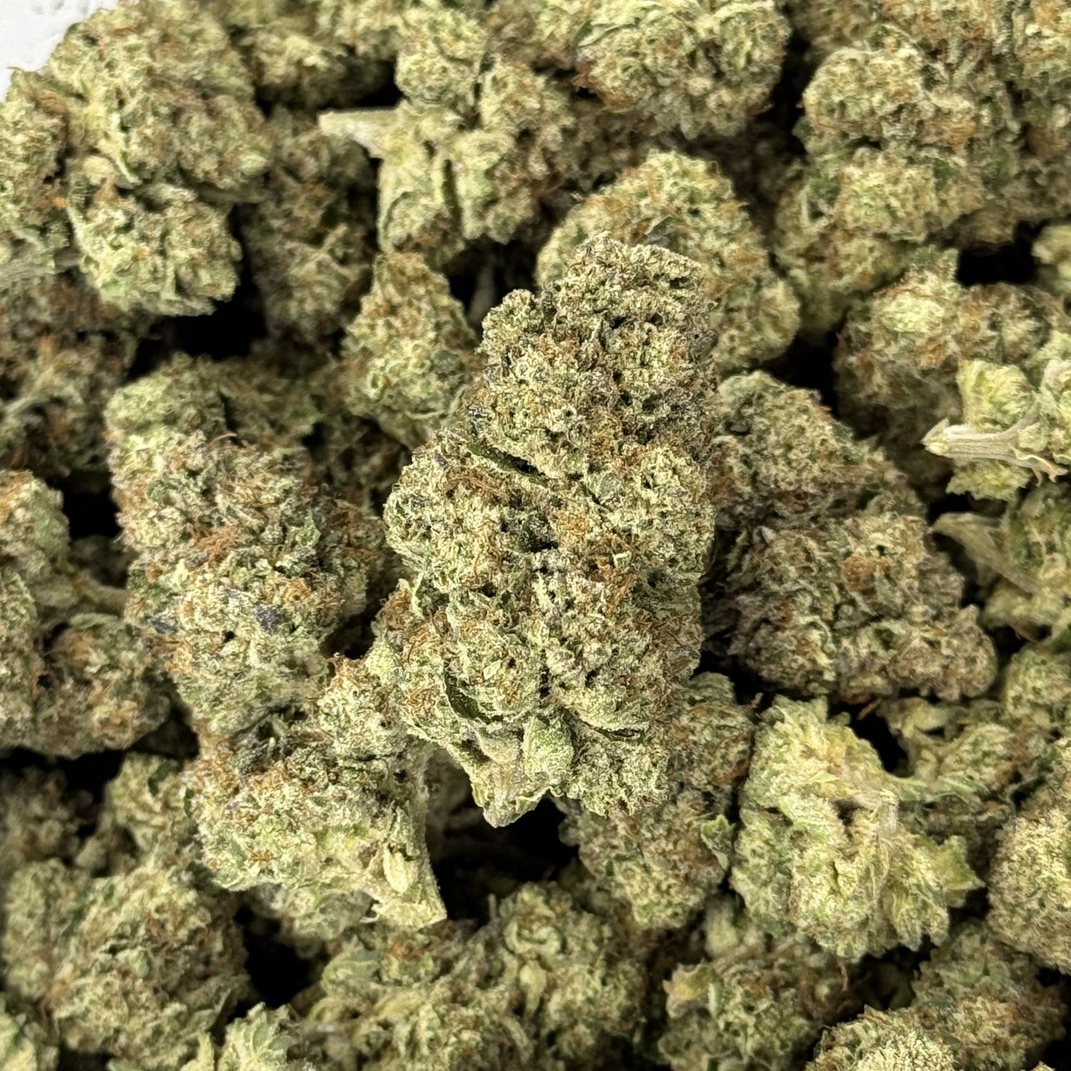 Modified Grapes THCA Flower - 24.80% (IH)