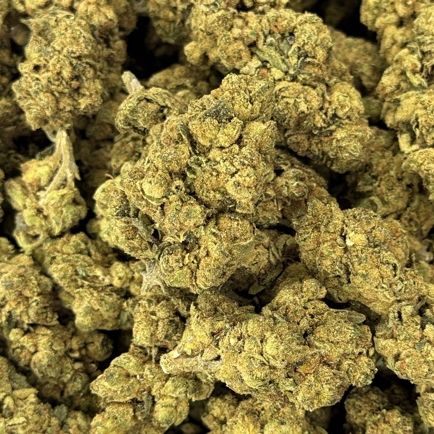 Owen Wilson THCA Flower - 25.99% (H)