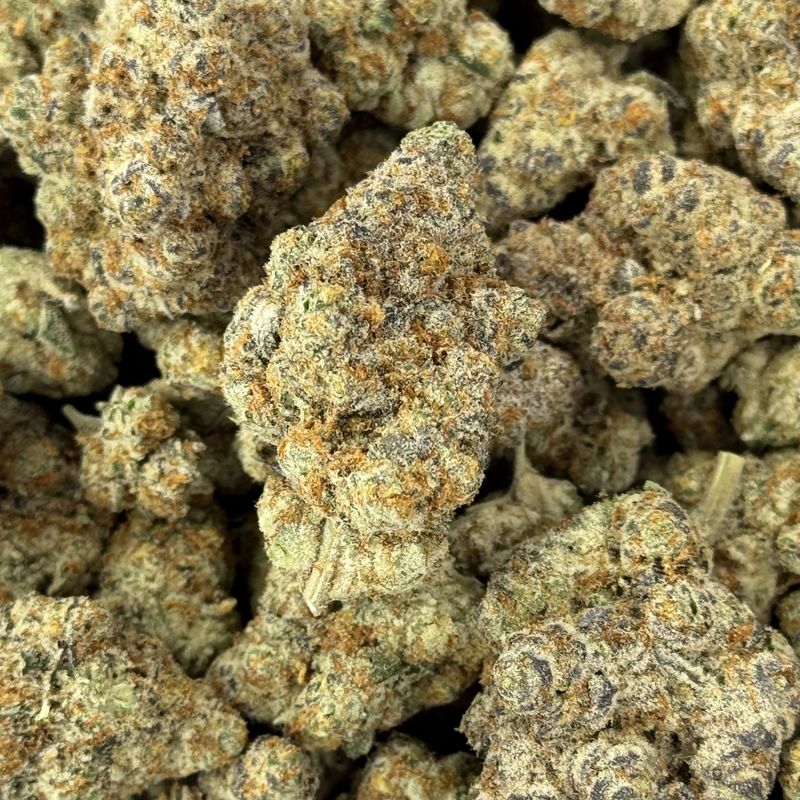 Astro THCA Flower - 26.38% (H)