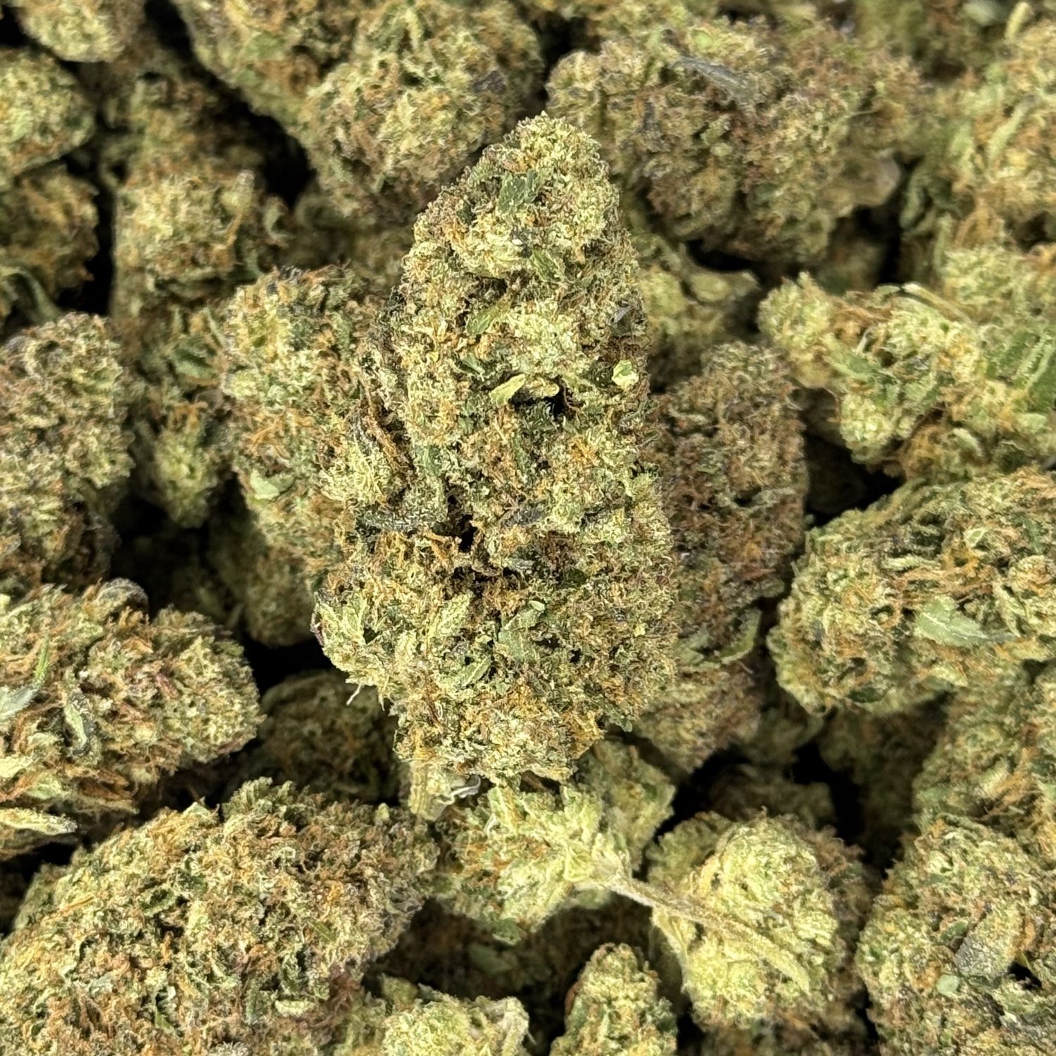 Electric Sunshine THCA Flower - 25.08% (S)