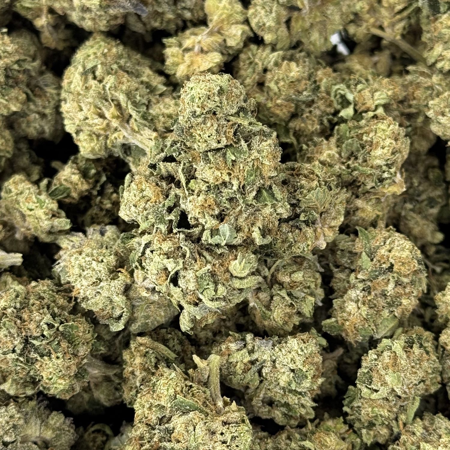 Magic Night THCA Flower - 28.79% (IH)