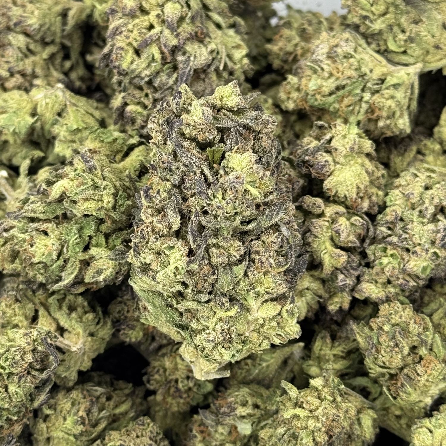 Grapes &amp; Creme x Pineapple Runtz THCA Flower - 26.44% (H)