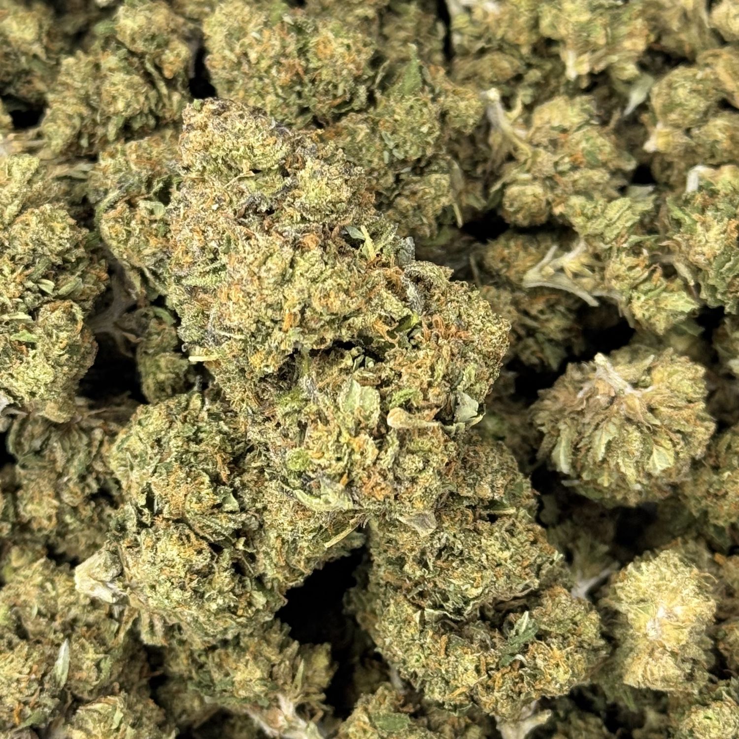 London Pound Cake THCA Flower - 29.60% (IH)