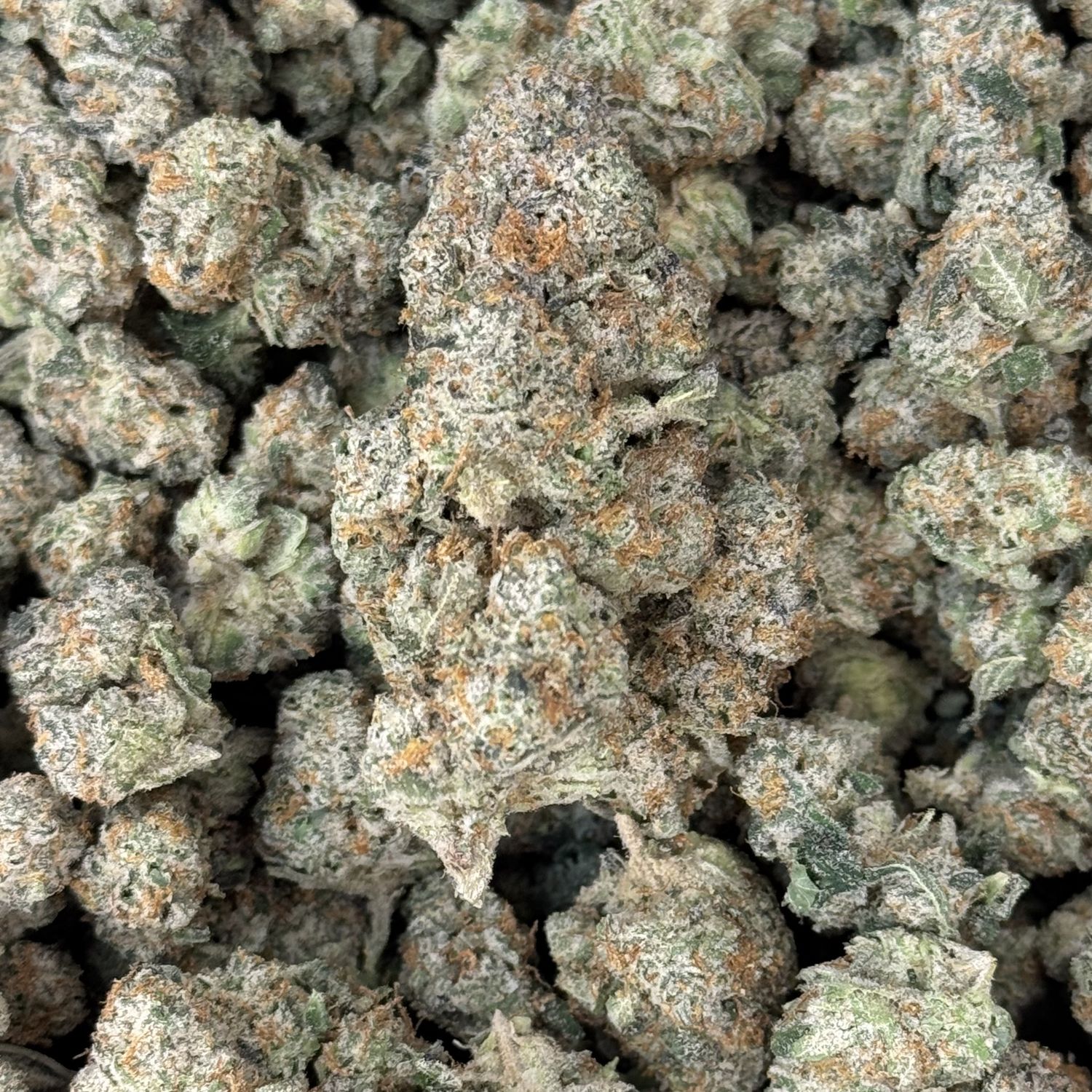 Guava Tart THCA Flower - 27.91% (SH)