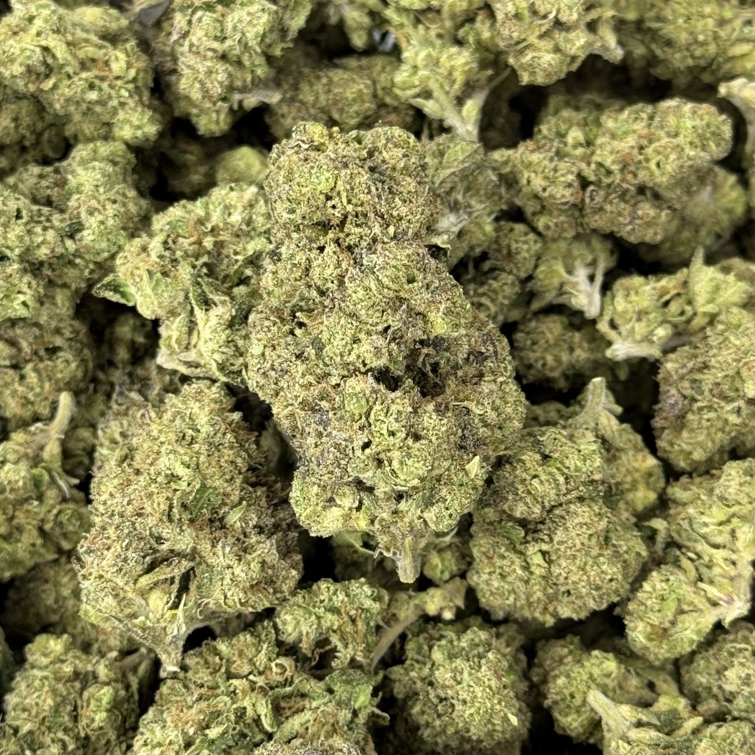 Jealousy THCA Flower - 25.62% (H)