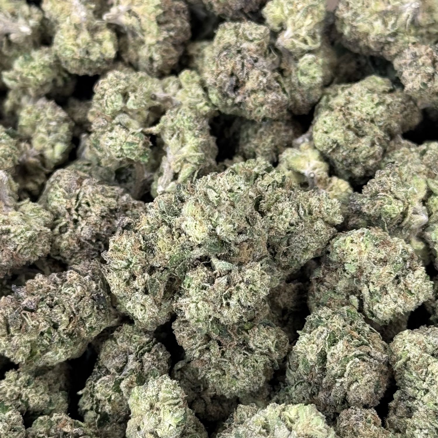 Jealousy THCA Flower - 23.60% (H)