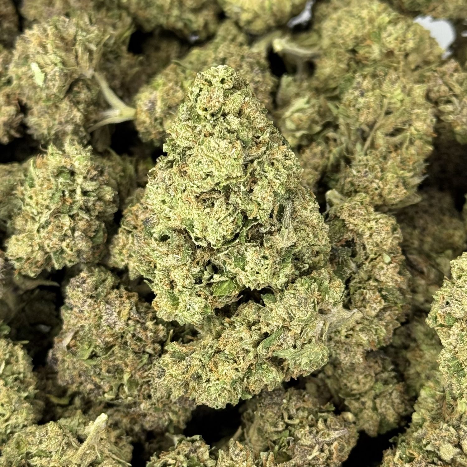 Bubba Kush THCA Flower - 25.32% (I)