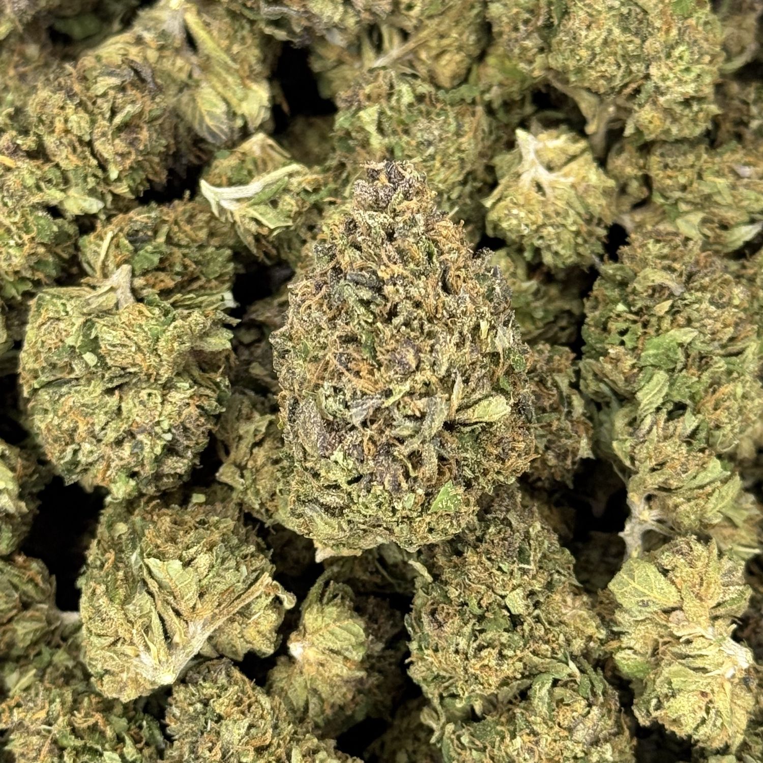 Purple Gas THCA Flower - 29.02% (H)