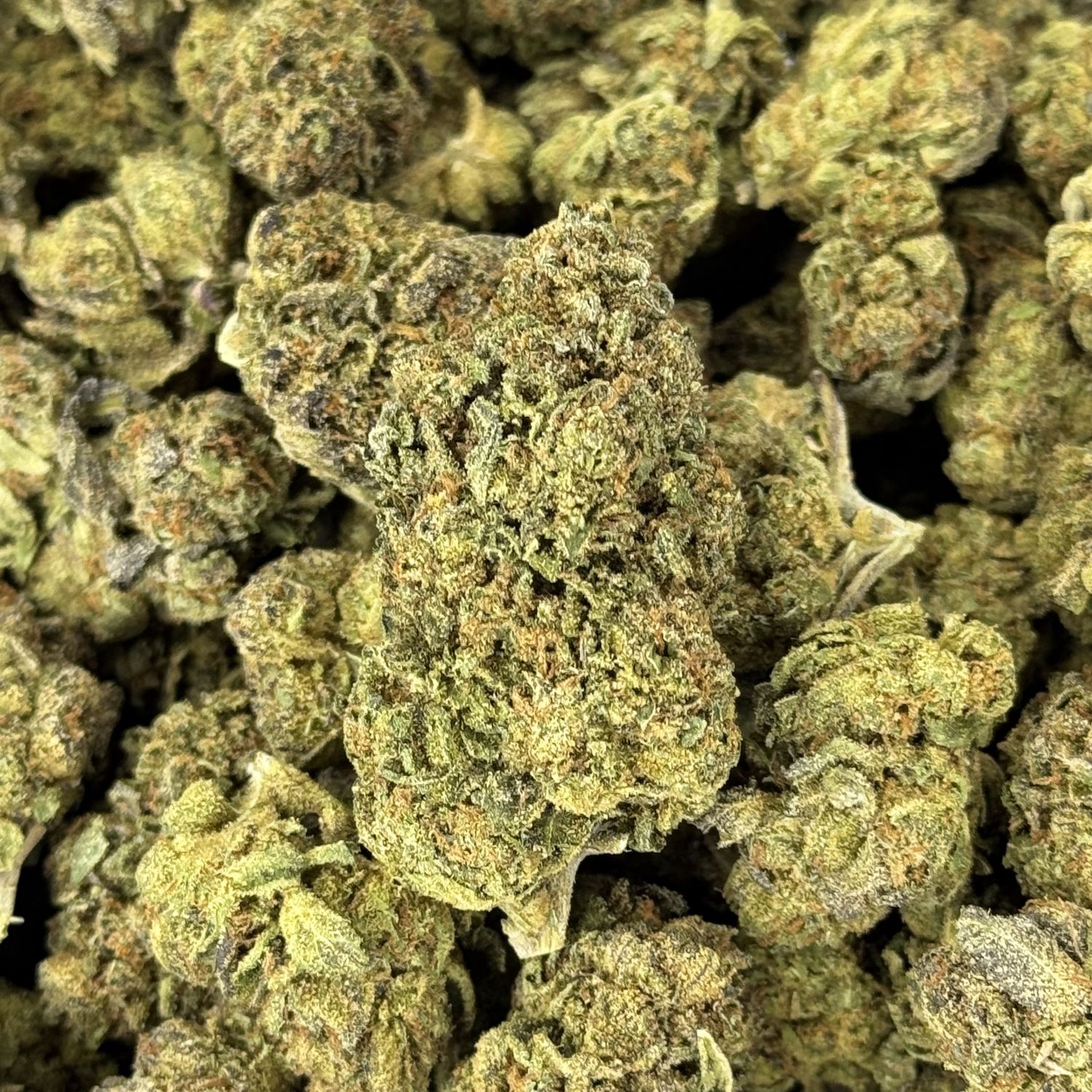 G13 THCA Flower - 24.74% (I)