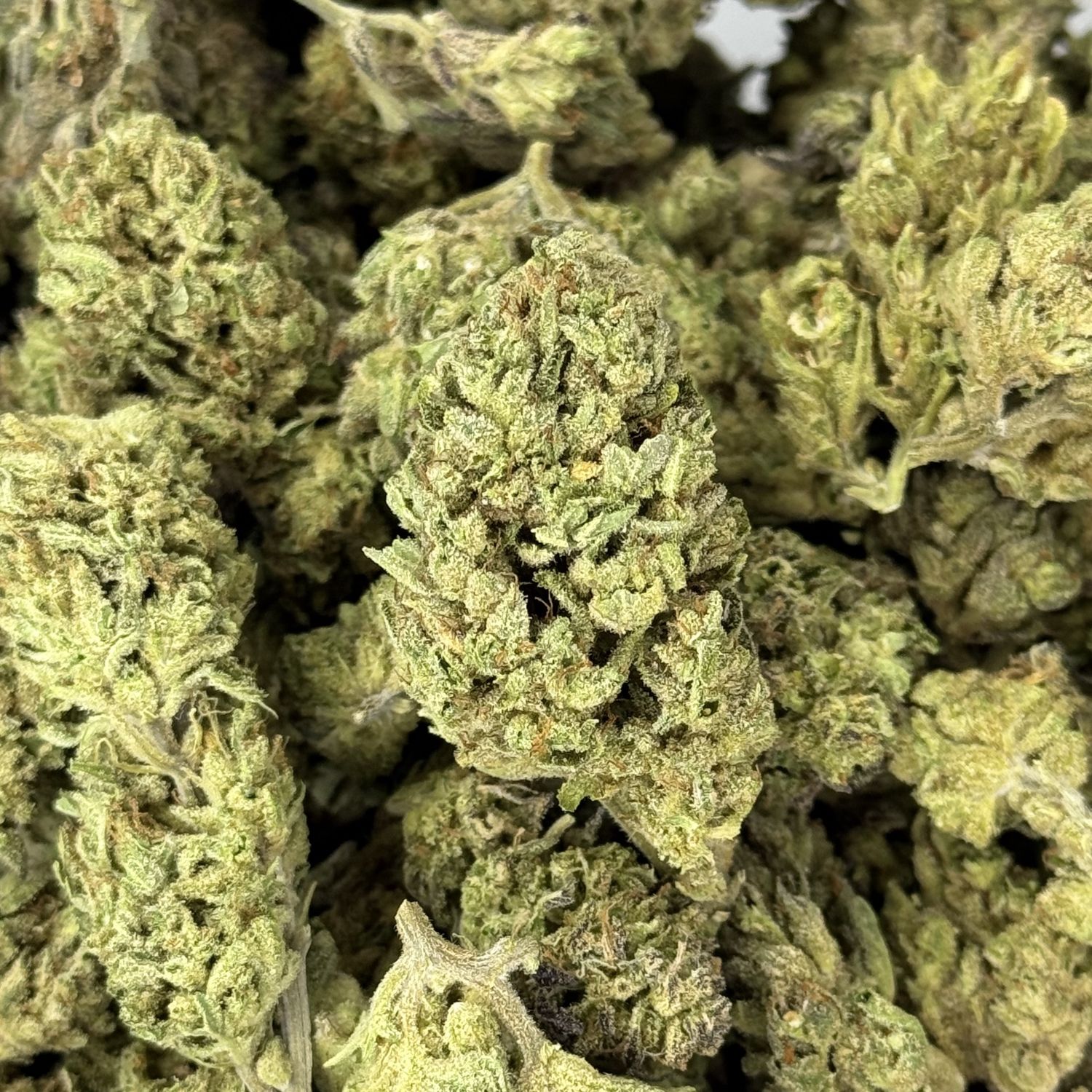 Marathon OG THCA Flower - 25.65% (I)