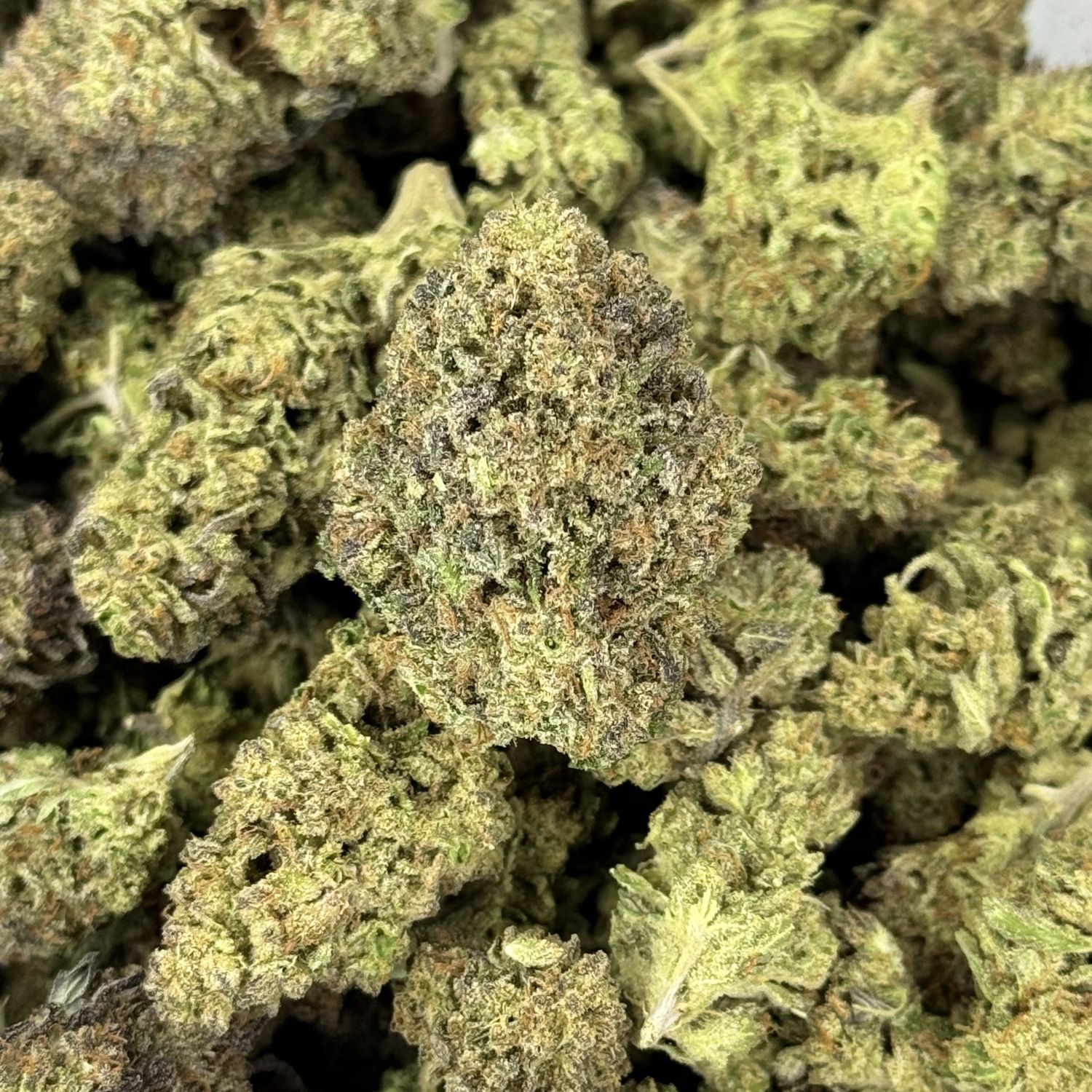 Government Oasis THCA Flower - 31.91% (H)