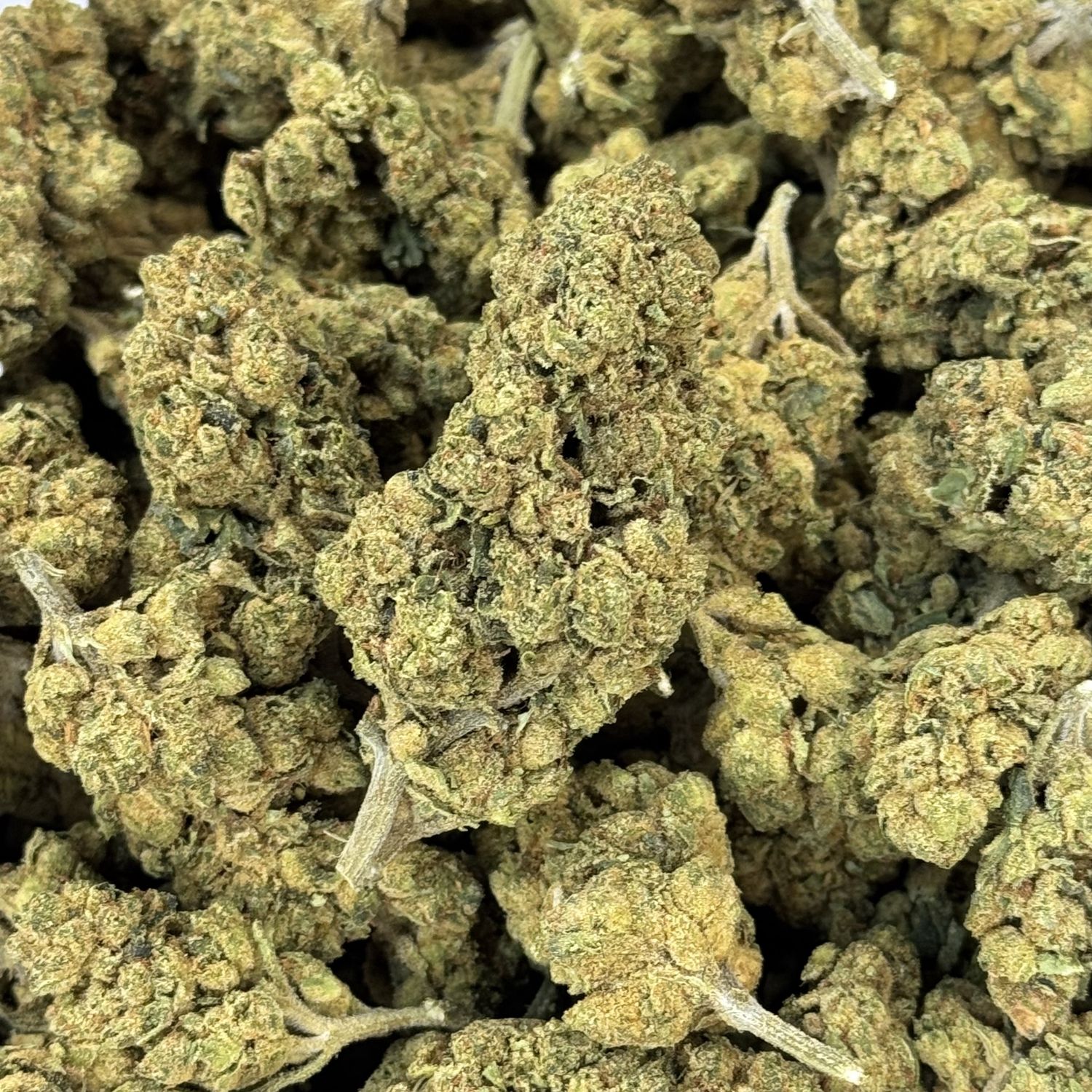 Owen Wilson THCA Flower - 25.99% (H)