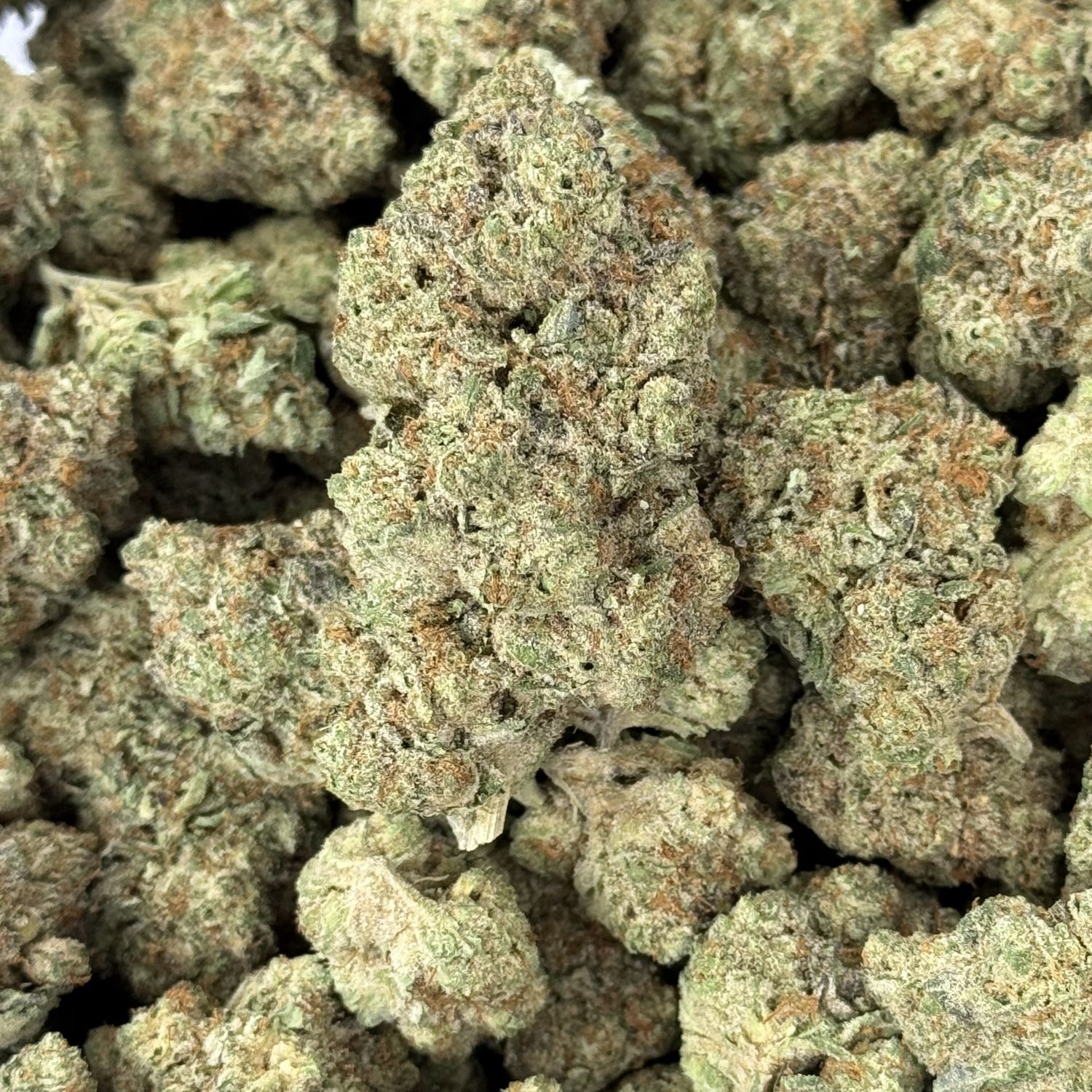 Caramel Cake THCA Flower - 29.23% (H)