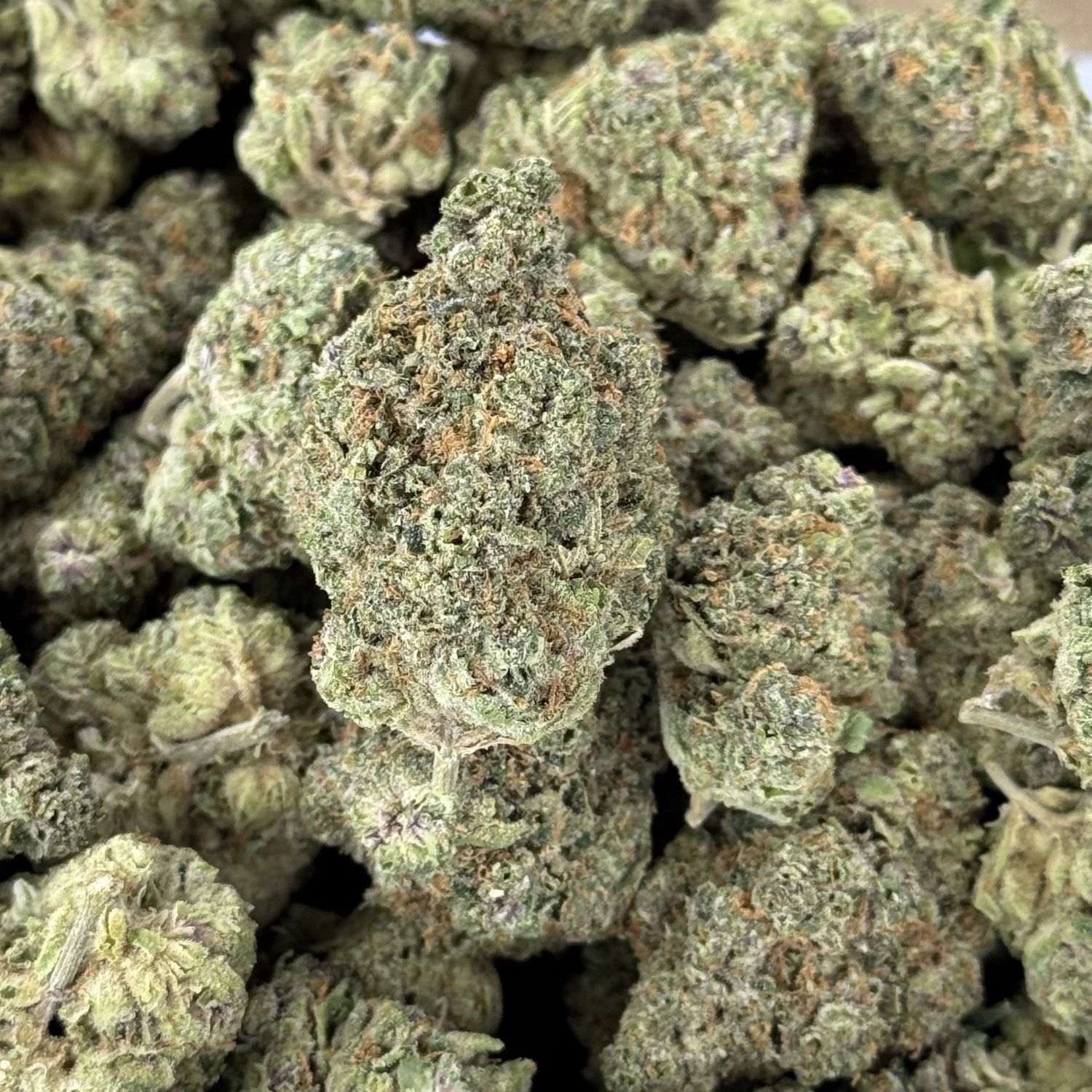 Key Lime Sherbet THCA Flower - 27.64% (IH)