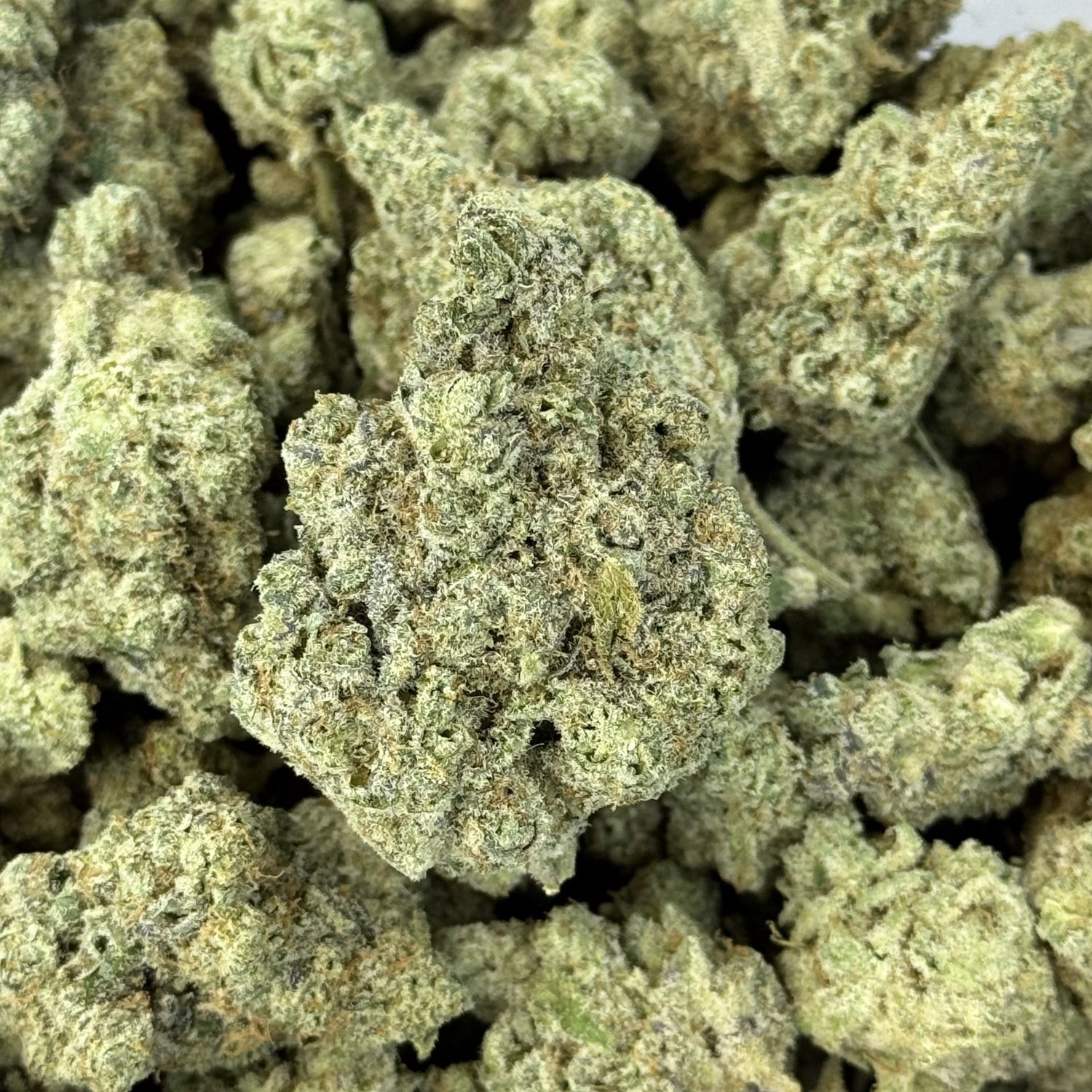 MAC 1 THCA Flower - 22.50% (H)