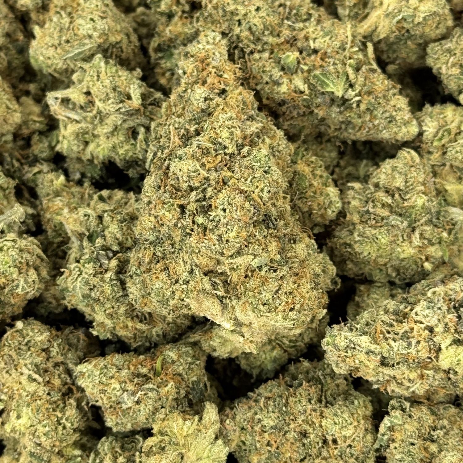 Jungle Juice THCA Flower - 27.18% (H)