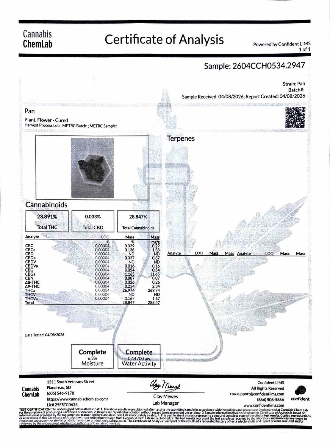 PAN THCA Flower - 26.97% (H)