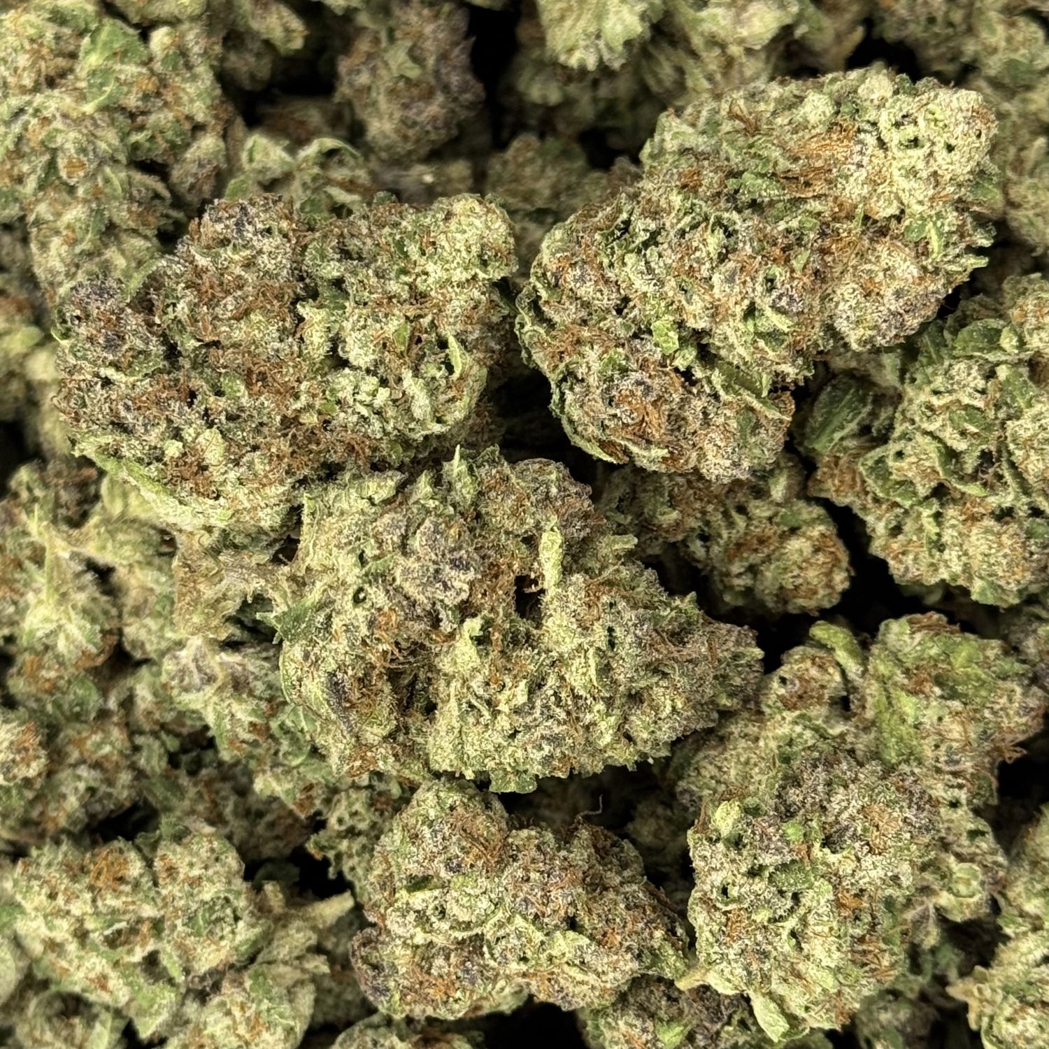 PAN THCA Flower - 26.97% (H)