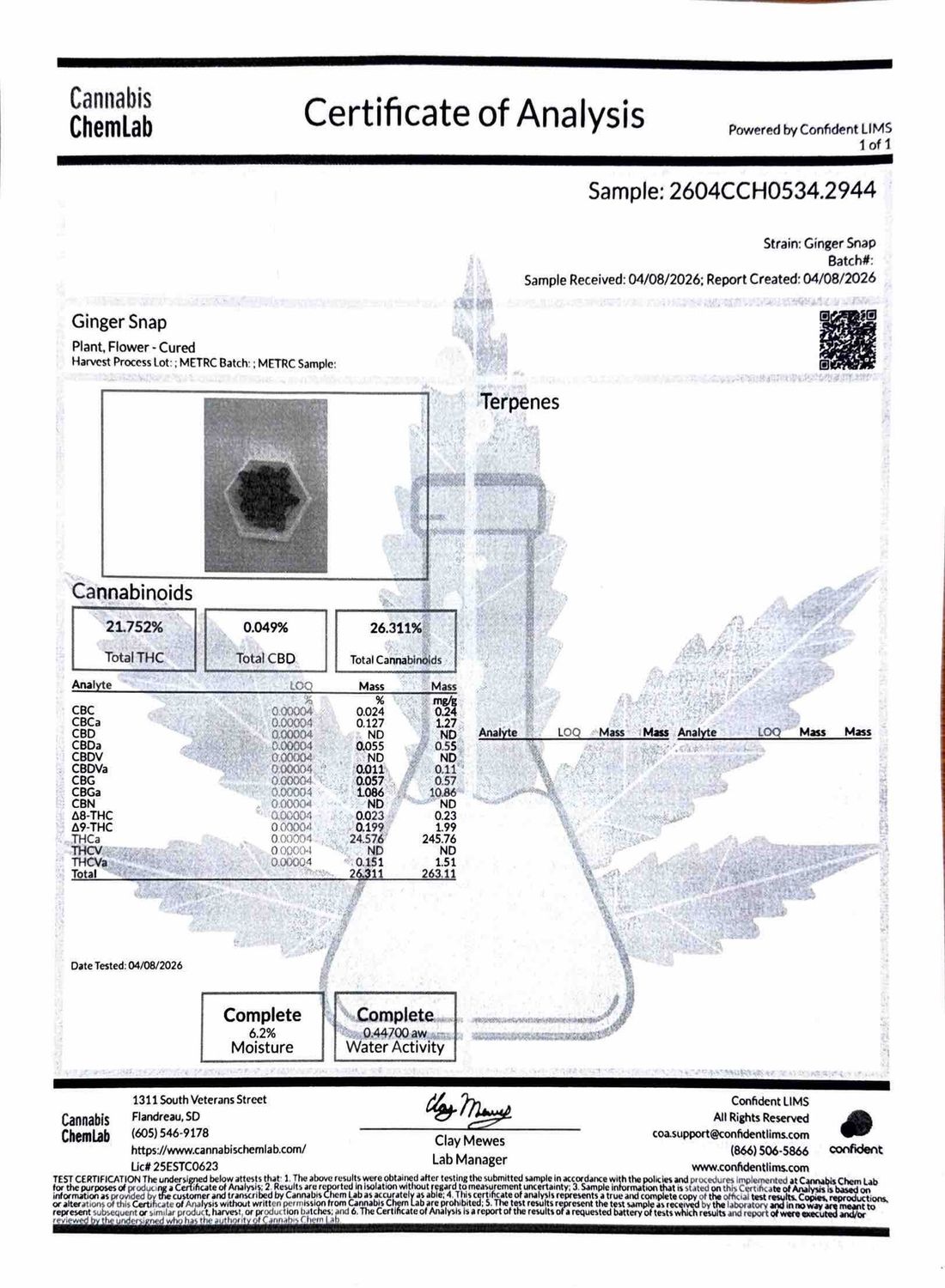 Ginger Snap THCA Flower - 24.58% (H)