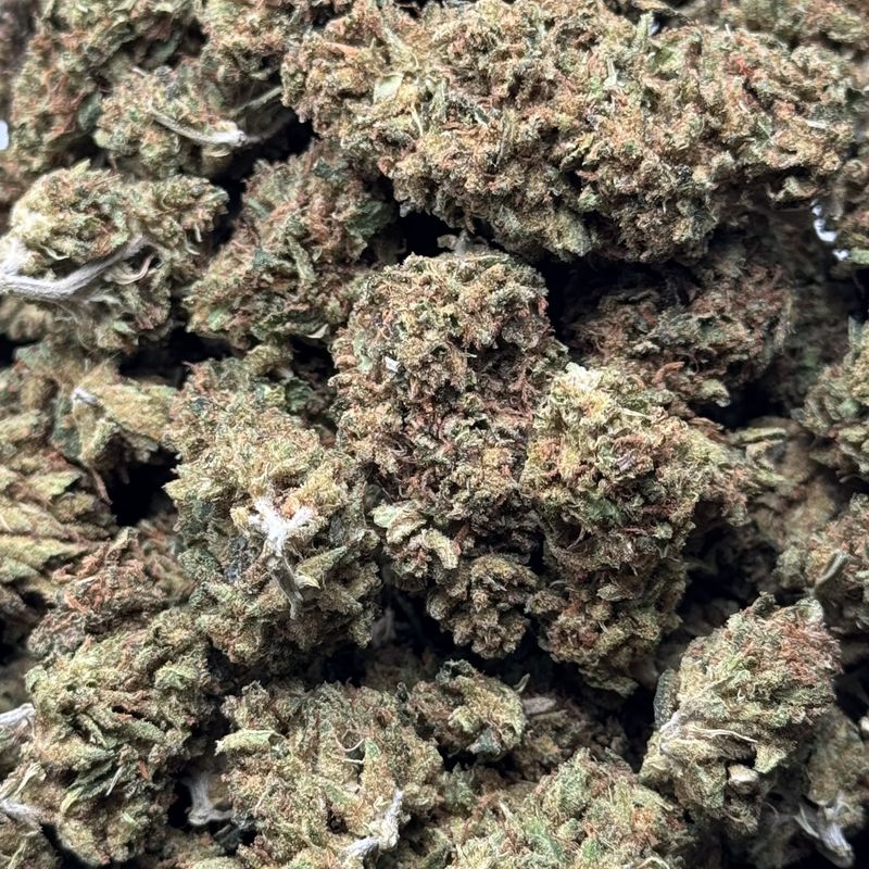 Where's My Bike? THCA Flower - 31.86% (S)