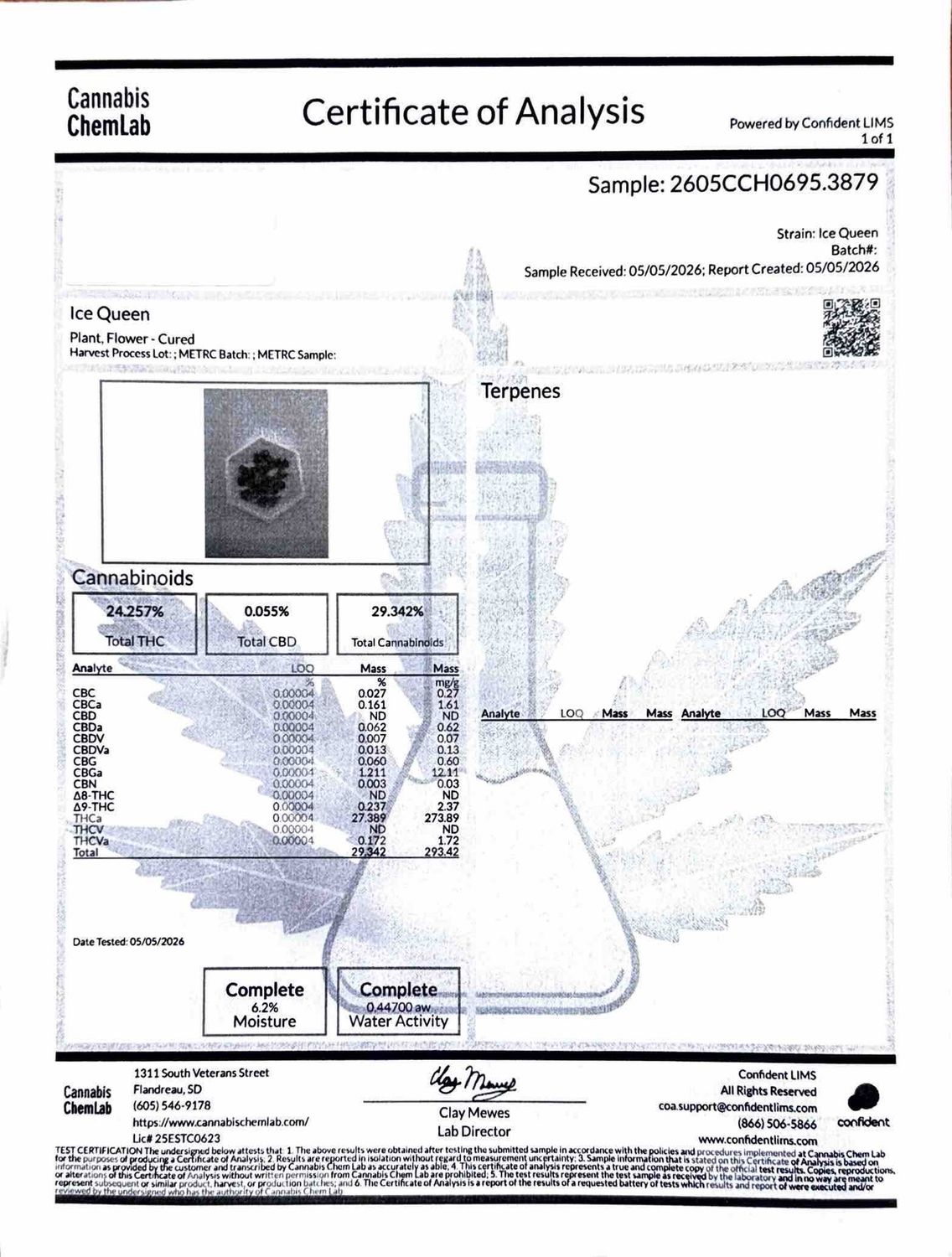 Ice Queen THCA Flower - 27.39% (S)