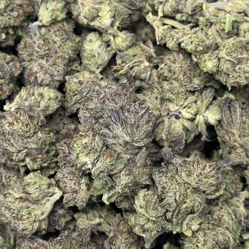 Donut Shop THCA Flower - 26.79% (H)