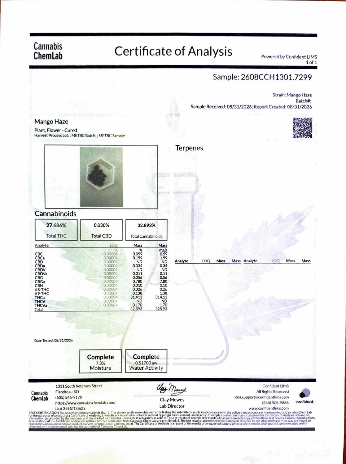 Mango Haze THCA Flower - 31.41% (S)