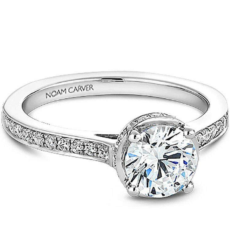 Hidden  Halo Noam Carver Engagement Ring