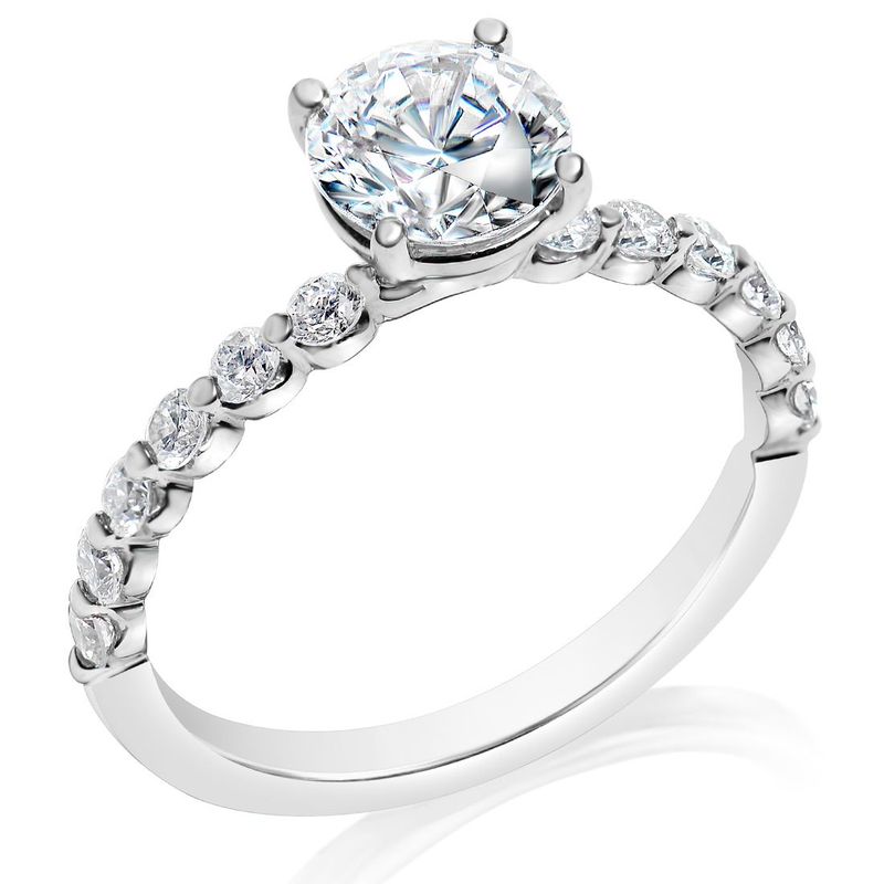 Diamond Shank Engagement Ring