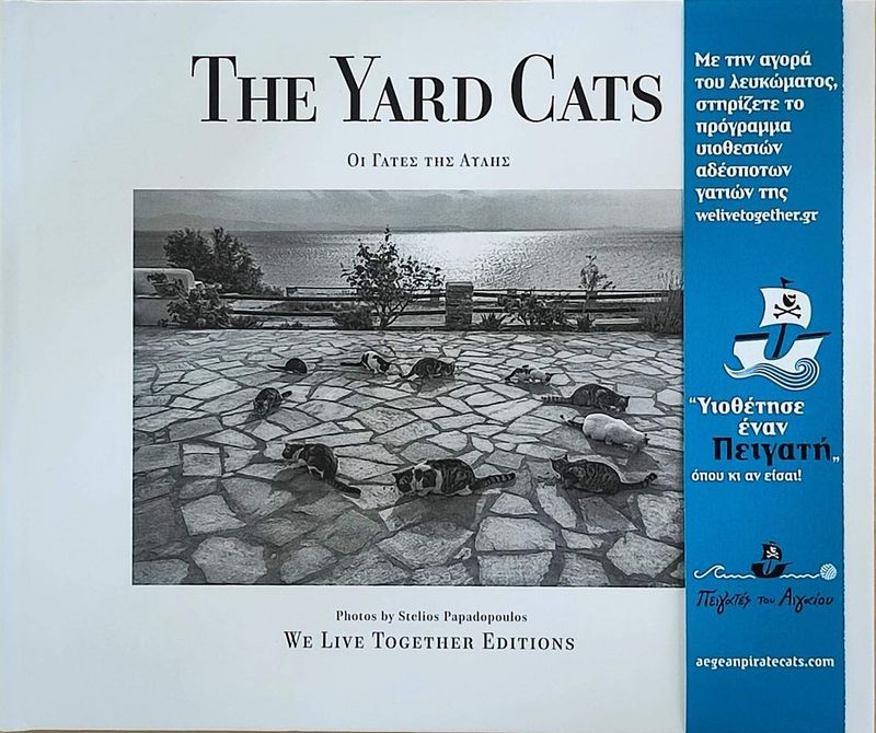 The Yard Cats Photo Album