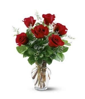 6 ROSAS ROJAS 6 ROSAS ROJAS