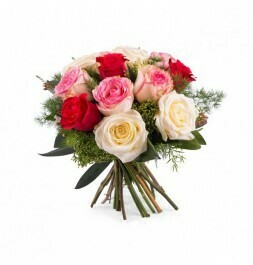 12 ROSAS MULTICOLOR 12 ROSAS MULTICOLOR