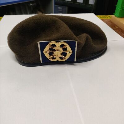 Royal Netherlands Dutch Army Beret with Signals Regiment Badge