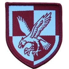 British Military  16 Air  Assault  BDE TRF Badge