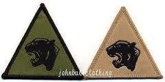 British Army 19 Mech Brigade Flash Badge