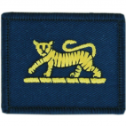British Army Prince of Wales Royal Regiment TIGER TRF Badge