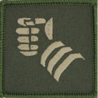 British Army 20th Armoured Brigade Badge