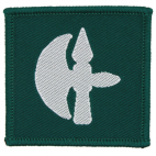 British Army Genuine 102 Logistic Brigade Tactical Flash Badge