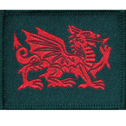 British Army Royal Regiment of Wales 1st Battalion Badge
